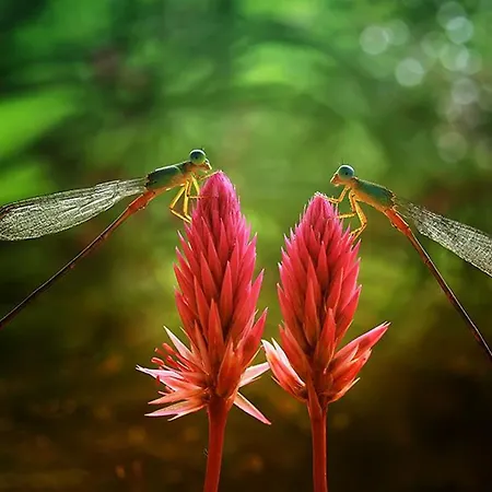 Maison Au Bord Du Pour 4 Pers. + Enfants, Nature Et Tranquillite, Animaux Admis - Fr-1-589-803 * Sanchey