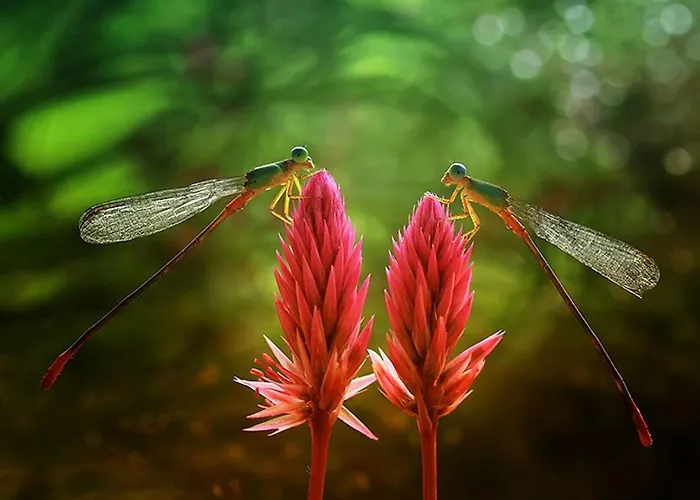 Maison Au Bord Du Pour 4 Pers. + Enfants, Nature Et Tranquillité, Animaux Admis - Fr-1-589-803 * Sanchey